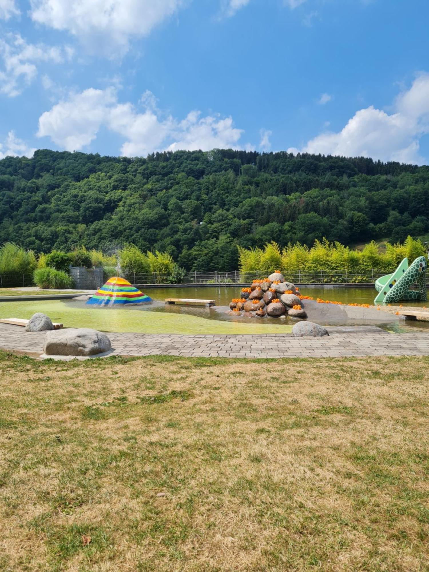 Ferienwohnung Am Rursee 심머라스 외부 사진